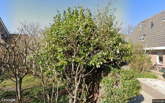 Street View Wierbalg 1411