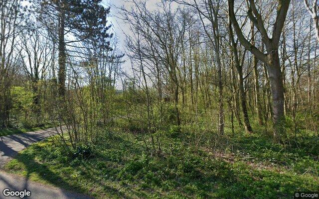 Street View Essenhout 20