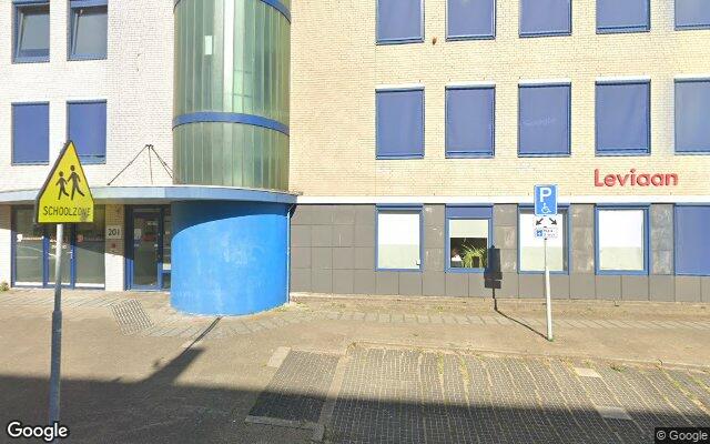 Street View Slenkstraat 203