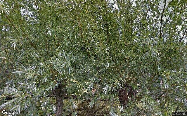 Street View Voorwillenseweg 157