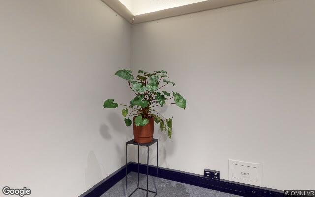 Street View Haagse Schouwweg 10