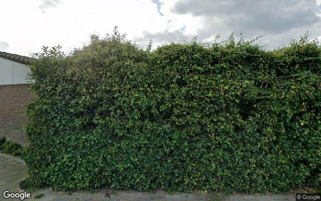 Street View Wilgenhof 167