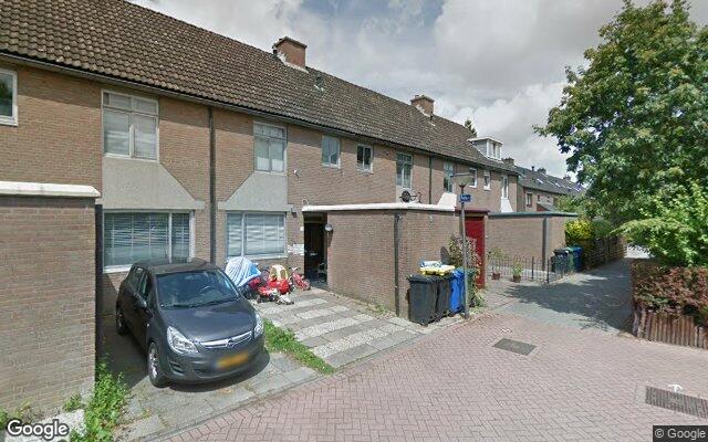 Street View Roerdomp 6