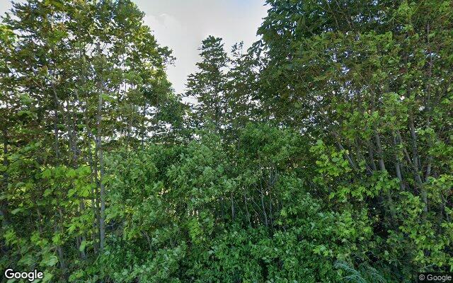 Street View Koningsdijk 10