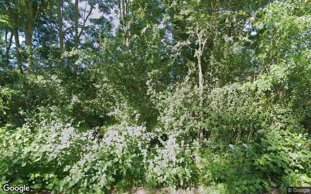 Street View Zuiddijk 10