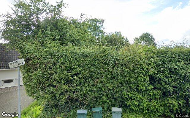 Street View Vogelfort 13