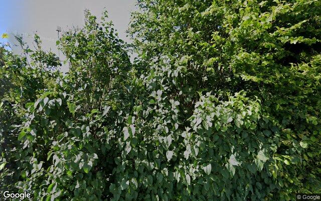 Street View Dijk van de Klein Hengstdijkpolder 1