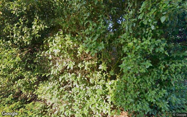 Street View Gebroeders Hoeksstraat 6