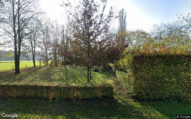 Street View Hoenderstraat 12