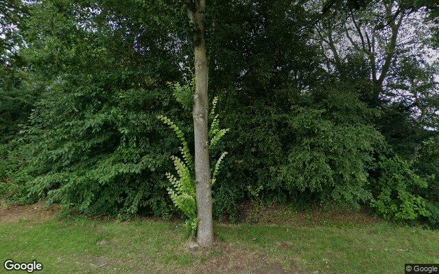 Street View Westerdiep WZ 126